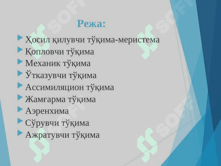 Ўсимлик тўқималари 2