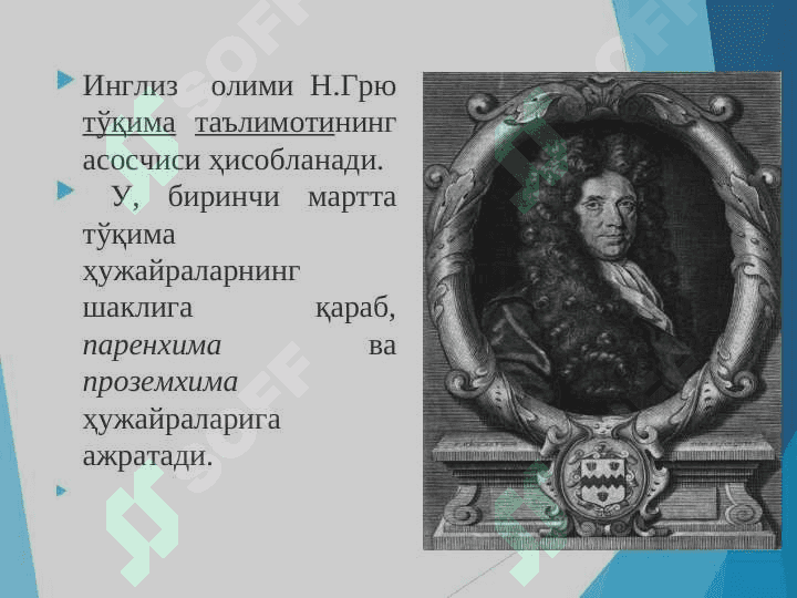 Ўсимлик тўқималари 5