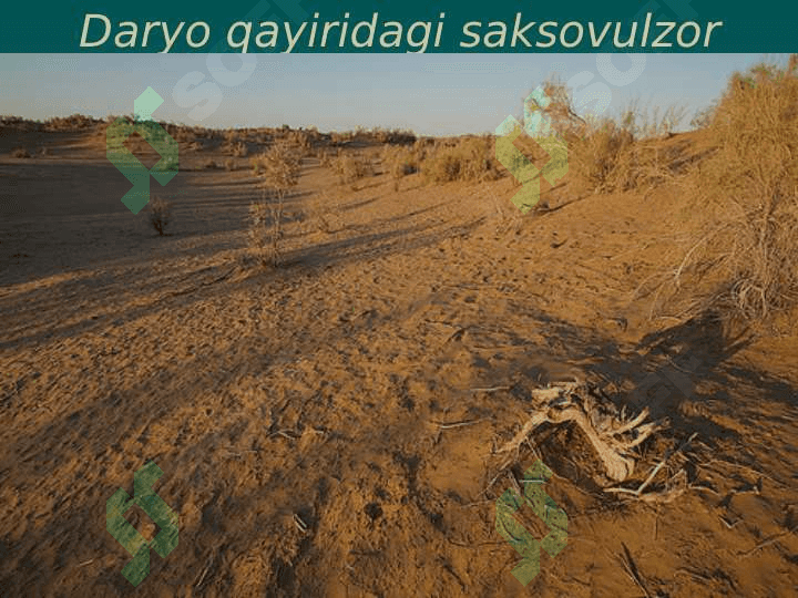 QUYI ZARAFSHON TABIIY GEOGRAFIK OKRUGI 4
