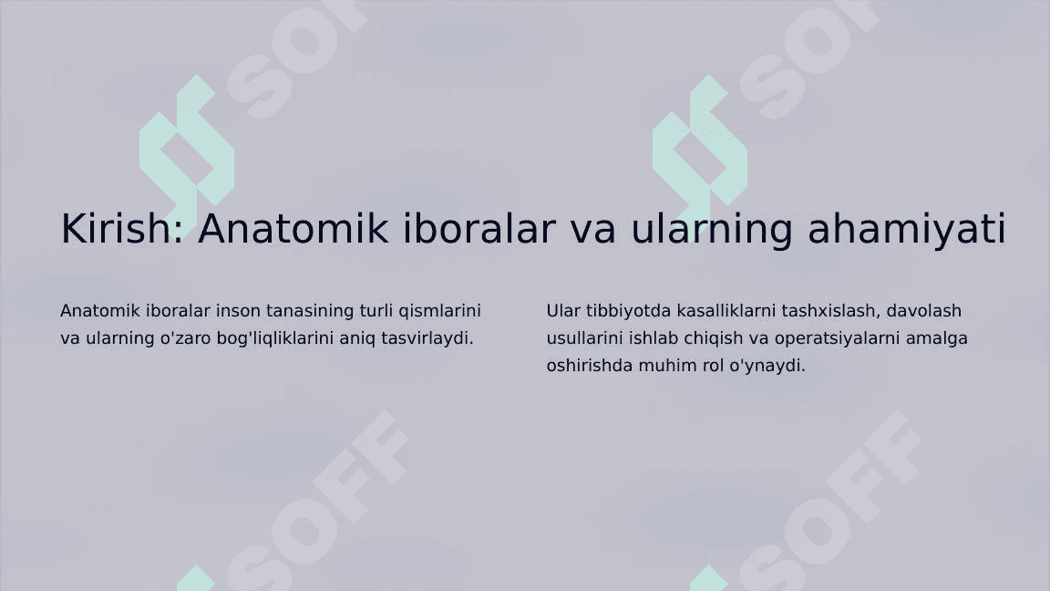 Anatomik iboralarning tarjimasi 3