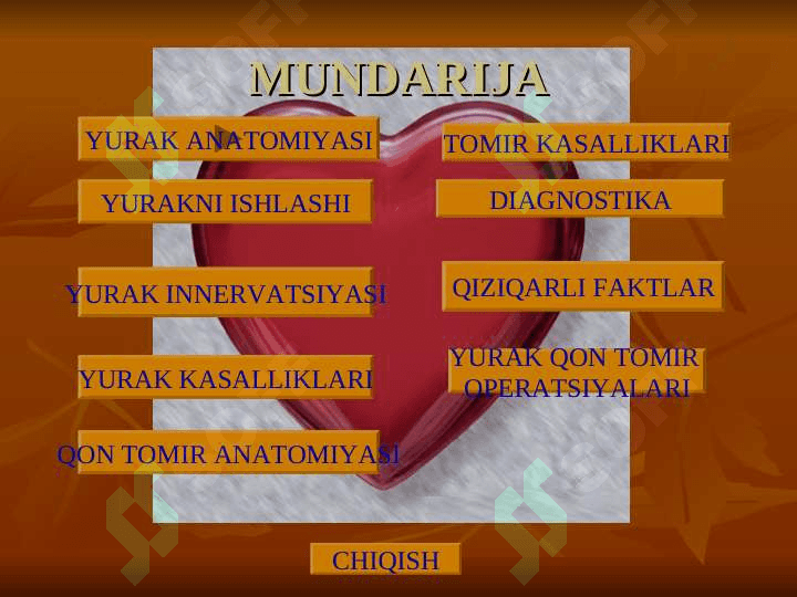 Yurak anatomiyasi | Юрак анатомияси 2