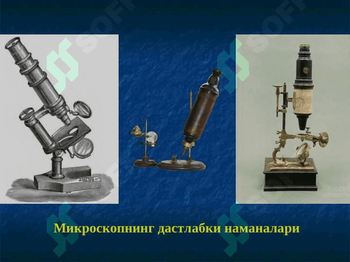 Ўсимлик ҳужайраси тузилиши pptx 6