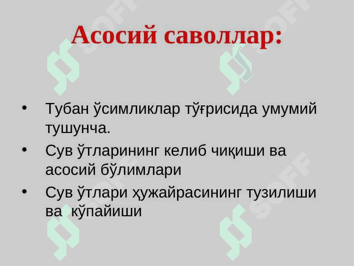 ТУБАН ЎСИМЛИКЛАР. Сувўтлари.  pptx 2