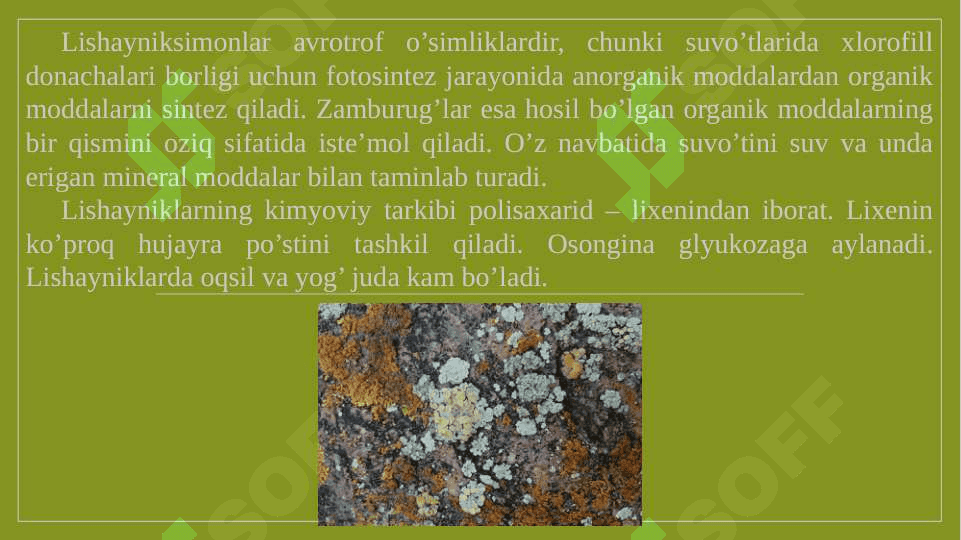 lishayniklar bo`limi pptx 5