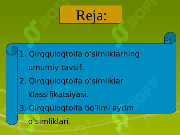 QIRQULOQTOIFA (POLYPODIOPHYTA)O’SIMLIKLAR pptx 2