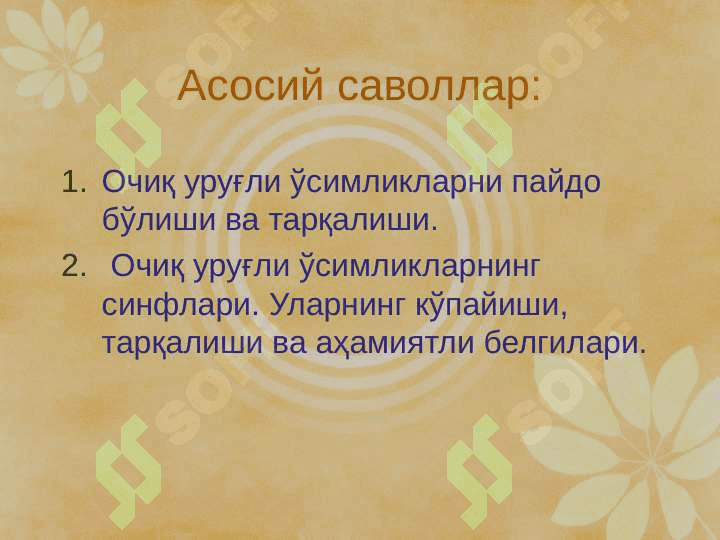 ҚАРАҒАЙТОИФА (ОЧИҚ УРУҒЛИ)– PINOPHYTA  ЁКИ GYMNOSPERMAE ЎСИМЛИКЛАР pptx 2