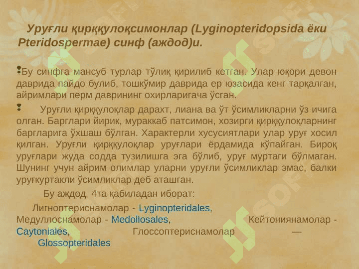 ҚАРАҒАЙТОИФА (ОЧИҚ УРУҒЛИ)– PINOPHYTA  ЁКИ GYMNOSPERMAE ЎСИМЛИКЛАР pptx 7