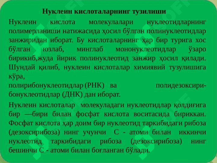 DNK va RNK. Ularning farqlari 3