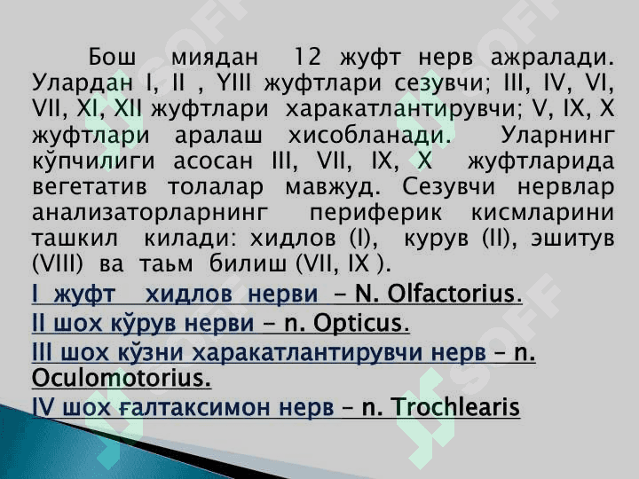 Бош миянинг тузилиши 5
