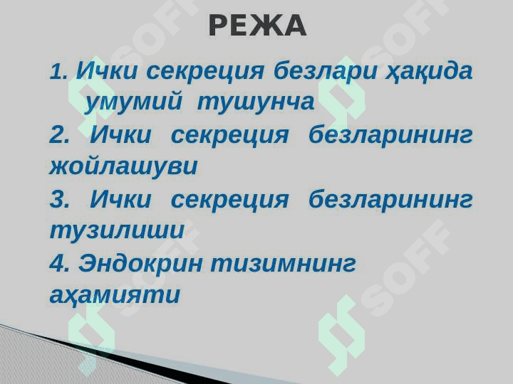 Ички секреция безларининг тузилиши ва аҳамияти 2