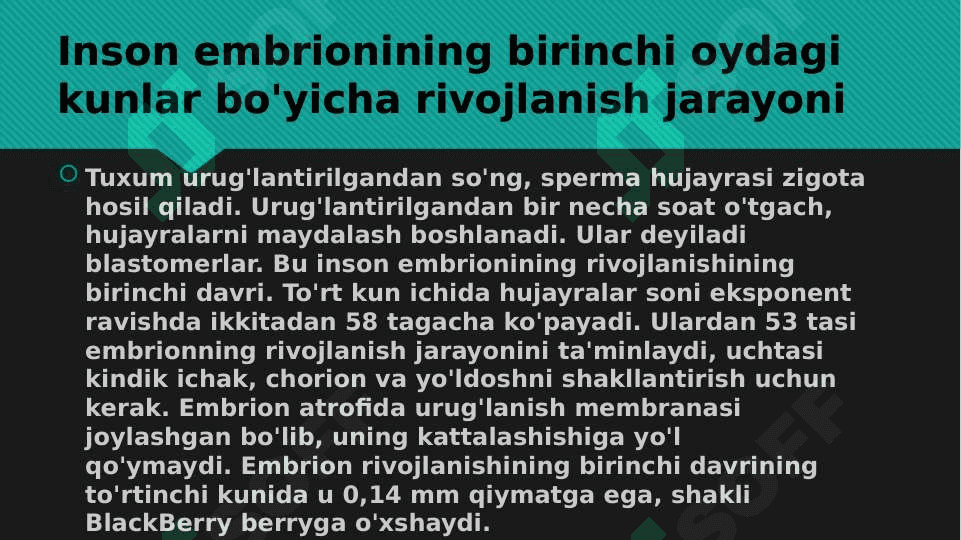 odam embrogenezi davirlari 3