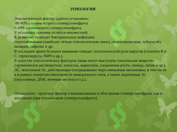 Гломерулонефриты 3