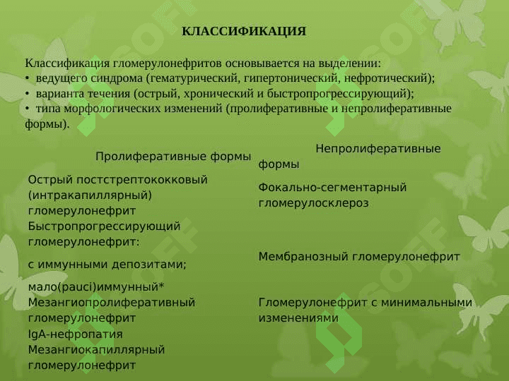 Гломерулонефриты 4