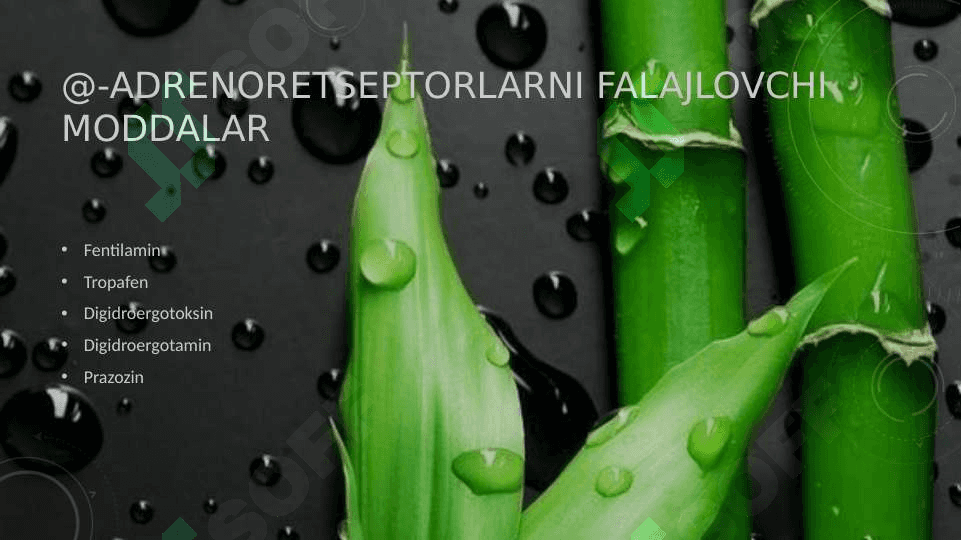 Adrenoblakatorlar va simpatolitiklar 3