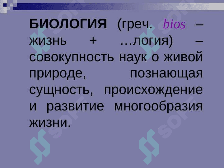 ВВЕДЕНИЕ В АНАТОМИЮ 3