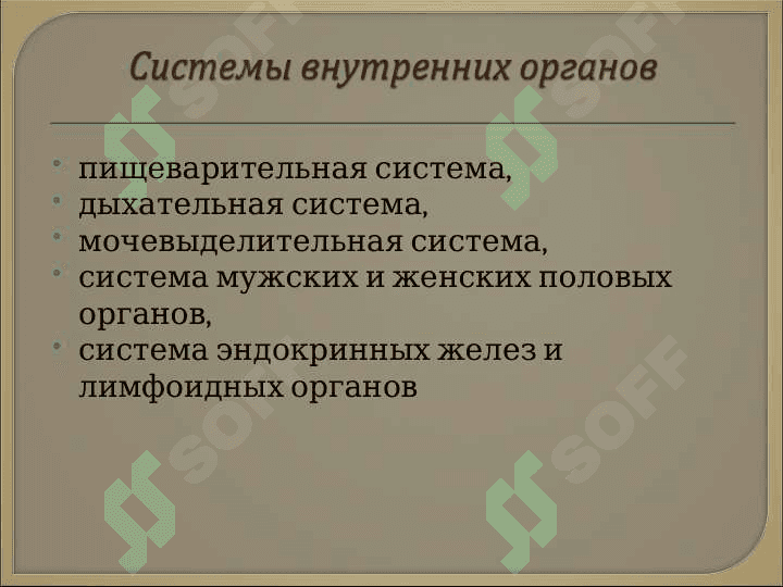 Спланхнология 3