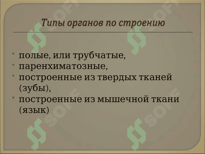 Спланхнология 4