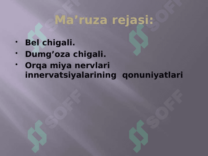 Bel va dumg'aza chigallarining anatomiyasi 2