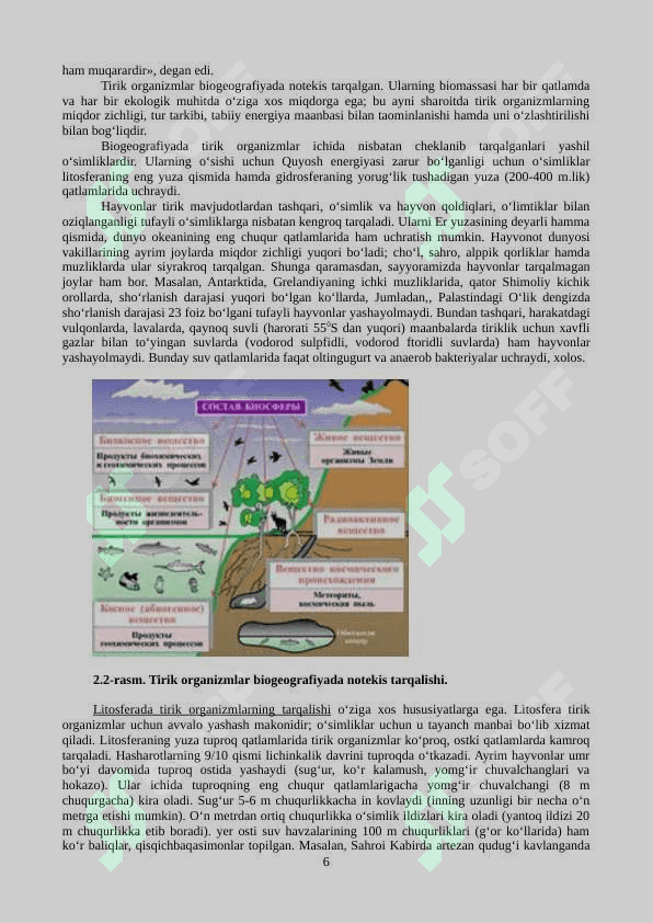 Biogeografiya 6