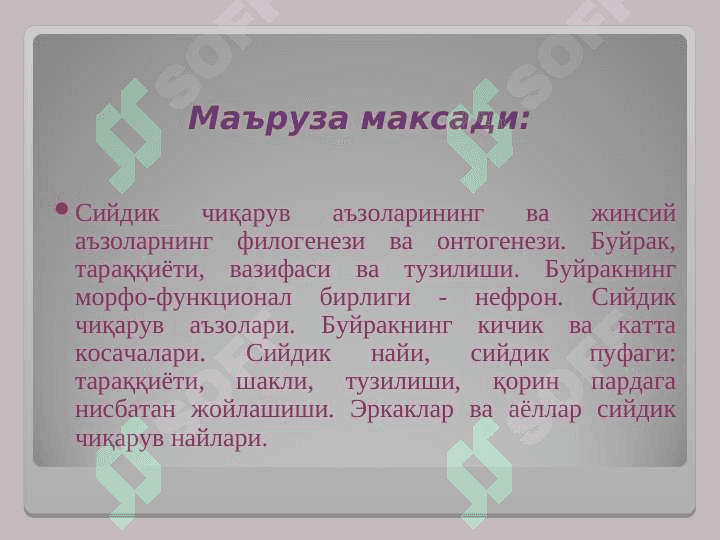 СИЙДИК ЧИҚАРУВ  АЪЗОЛАРИНИНГ ФУНКЦИОНАЛ  АНАТОМИЯСИ 2