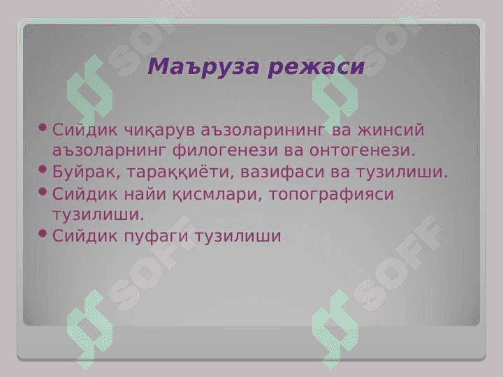 СИЙДИК ЧИҚАРУВ  АЪЗОЛАРИНИНГ ФУНКЦИОНАЛ  АНАТОМИЯСИ 3