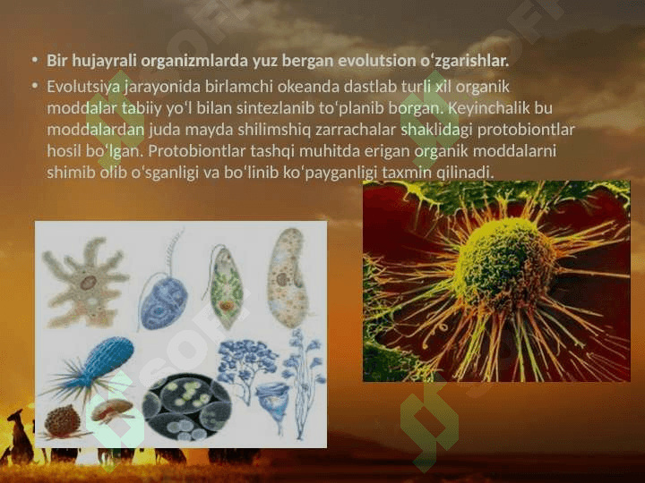 Hayvonot dunyosidagi evolutsion o‘zgarishlar 4