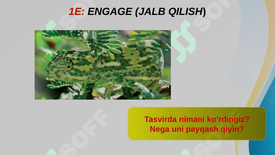 Yashash muhitiga moslanish 2