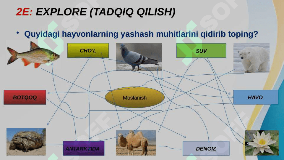 Yashash muhitiga moslanish 4