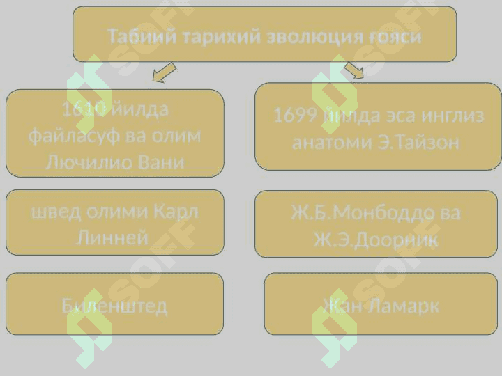 ИНСОН ФАЛСАФАСИ 6