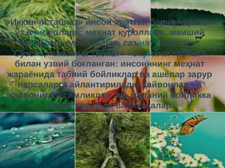 ТАБИАТ ВА ЖАМИЯТ ФАЛСАФАСИ 8