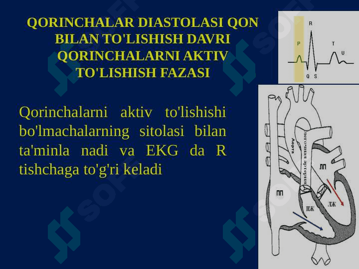YURAK NASOS FAOLIYATINING FIZIOLOGIYASI 8