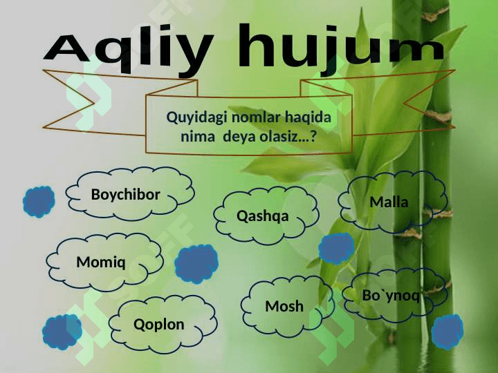 Hayvonlarga qo`yilgan nomda bosh harf 2-sinflarga 4