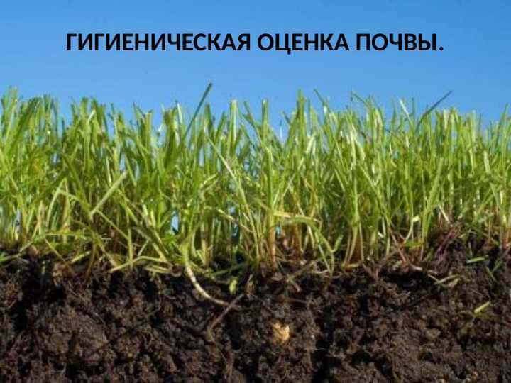 ГИГИЕНИЧЕСКАЯ ОЦЕНКА ПОЧВЫ.