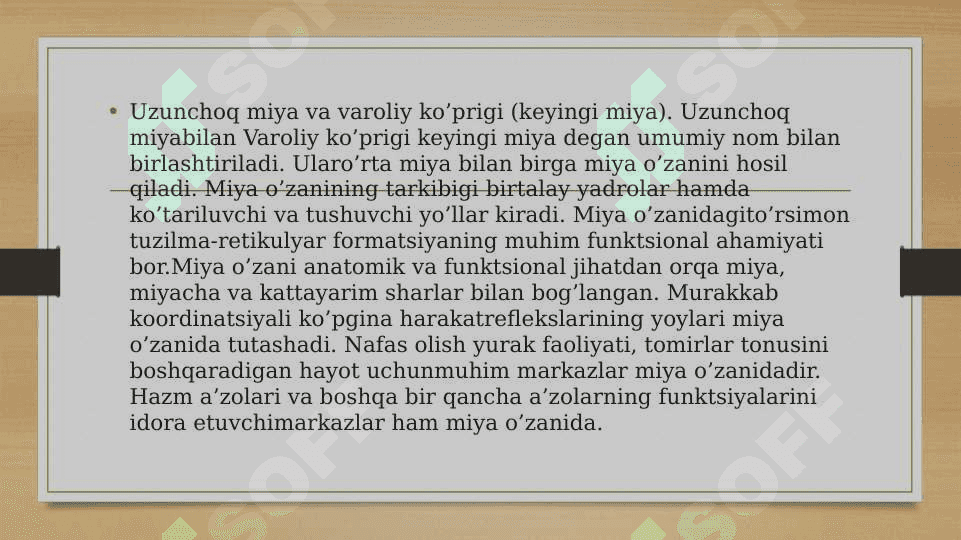 Uzunchoq miya 3