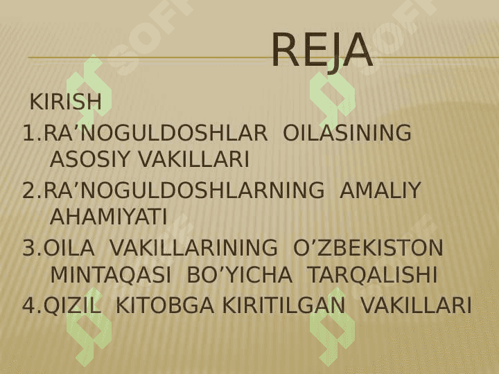 Ra’noguldoshlar  oilasi 4