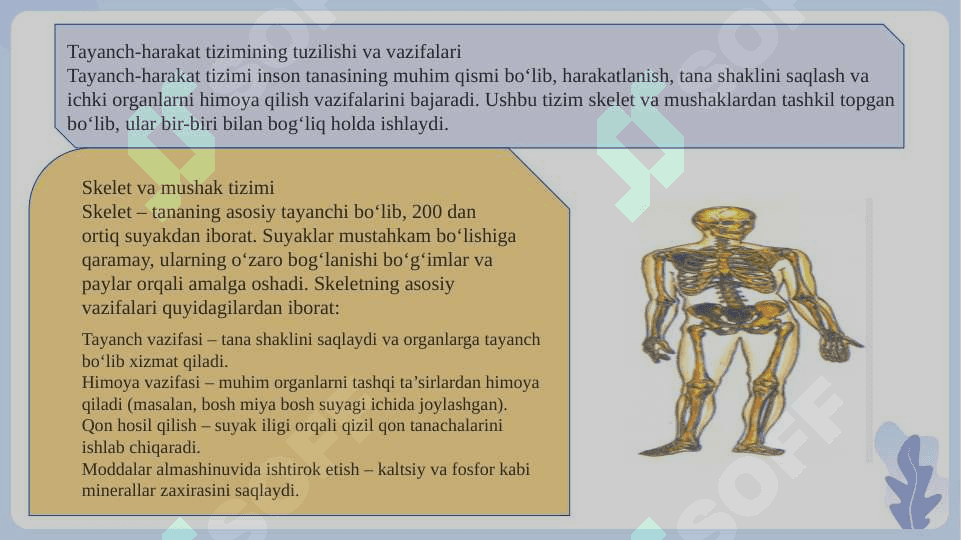Tayanch- Harakat tizimi kasaliklari SLAYD 4