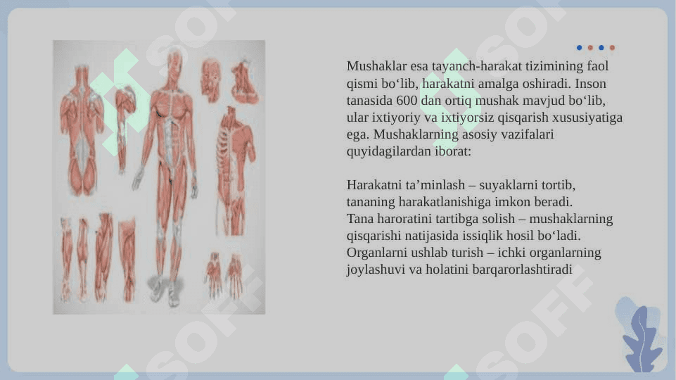Tayanch- Harakat tizimi kasaliklari SLAYD 5