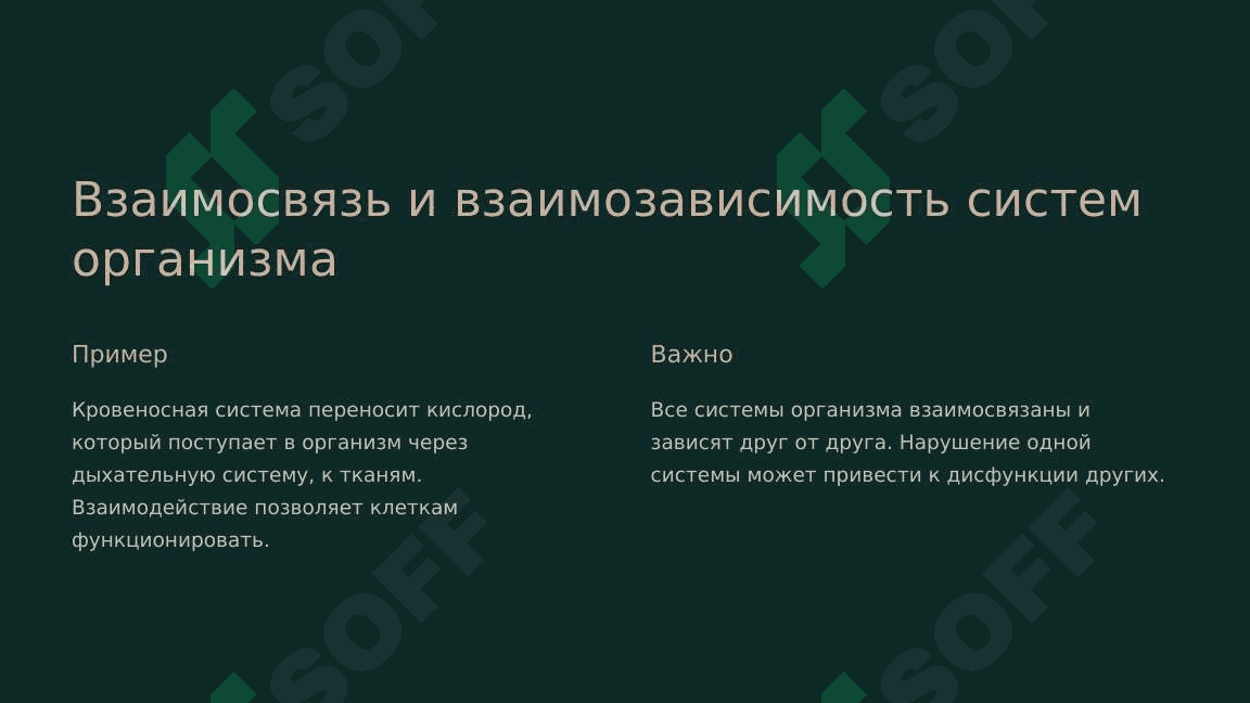 Организм человека – целостная система 4
