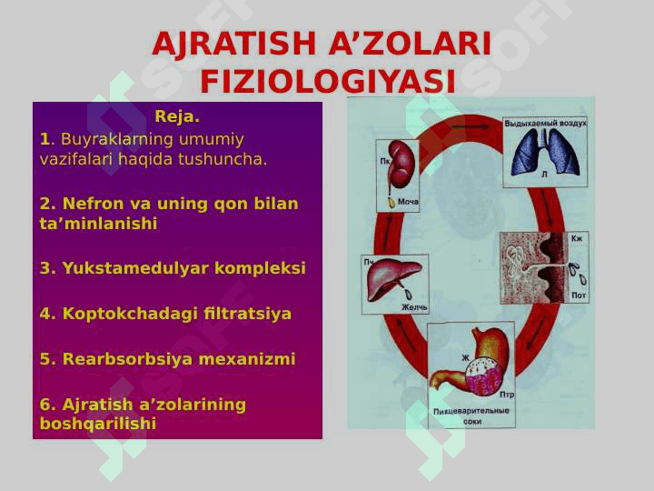 AJRATISH A’ZOLARI FIZIOLOGIYASI 2