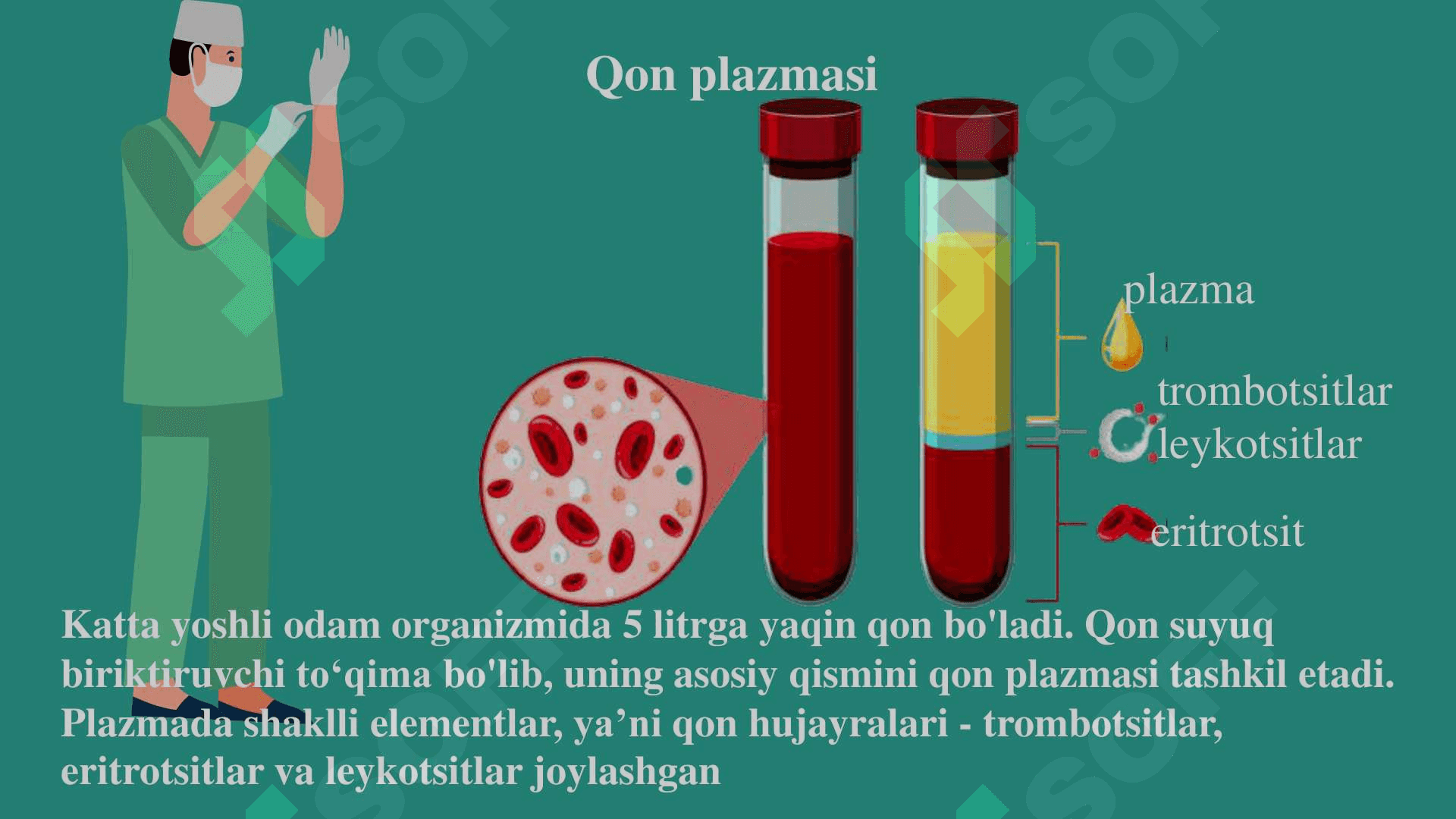 Qonning kimyoviy tarkibi 3