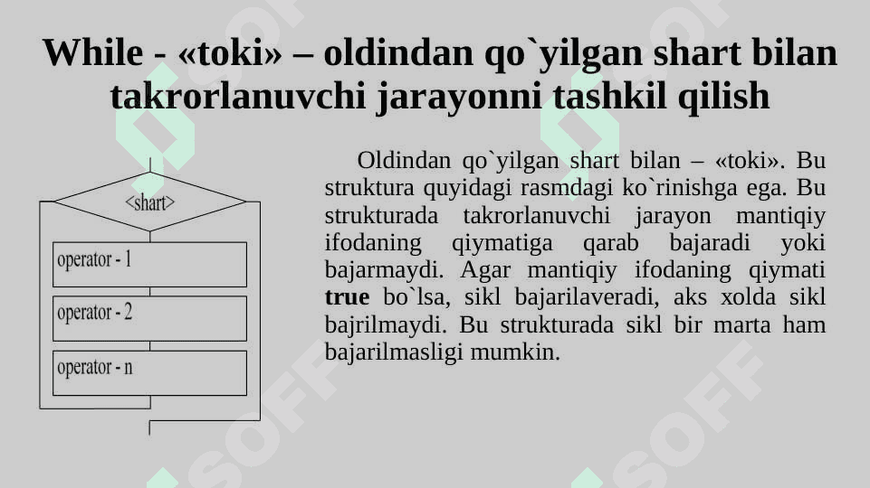 Takrorlanuvchi jarayonlar va ularni dasturlash. 5