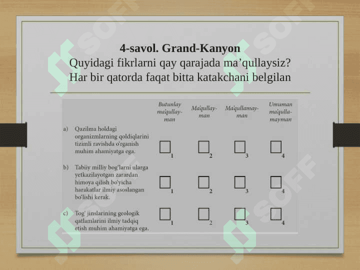 GRAND KANYON 8