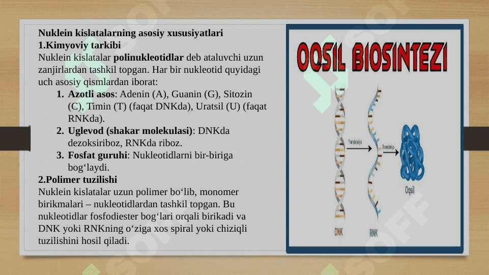 Nuklein kislatalarining oqsil biosintezida roli 3