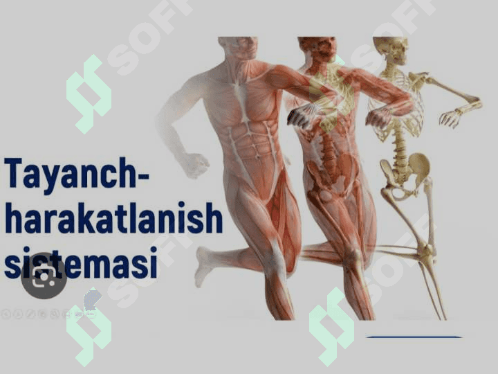 Tayanch harakatlanish kasalliklari haqida tushuncha 2