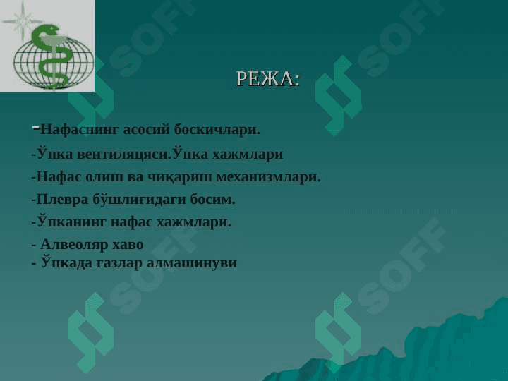 Нафас тизимининг функционал хусусиятлари 2