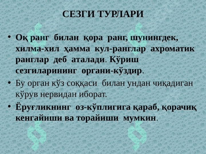СЕЗГИЛАР 3