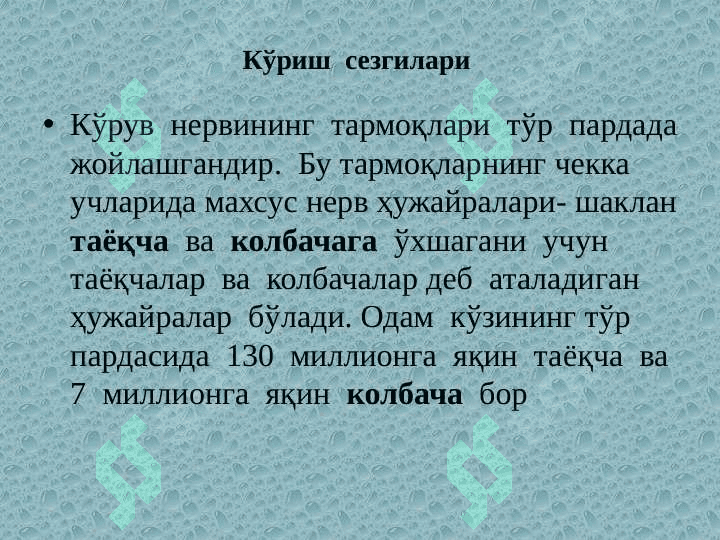 СЕЗГИЛАР 4