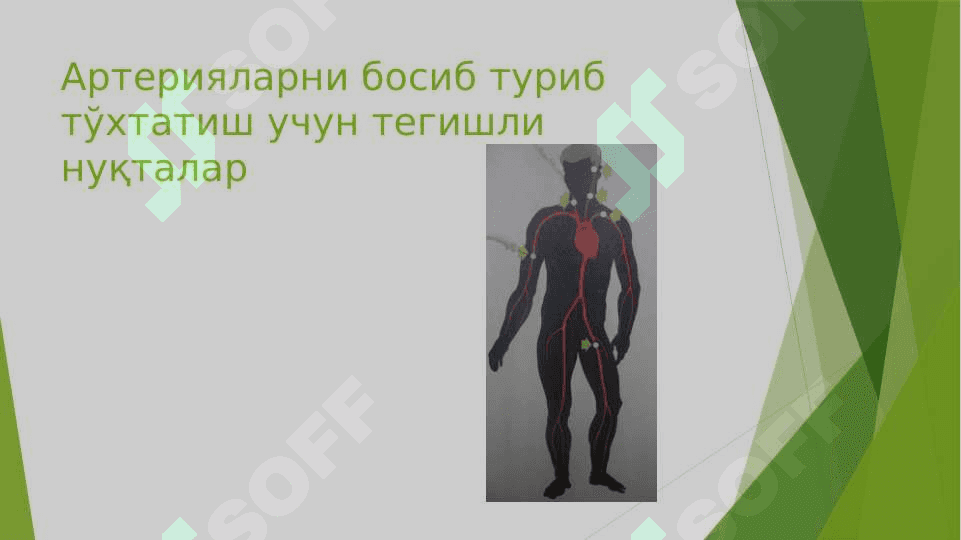 Qon ketishini to’xtatish usullari 5