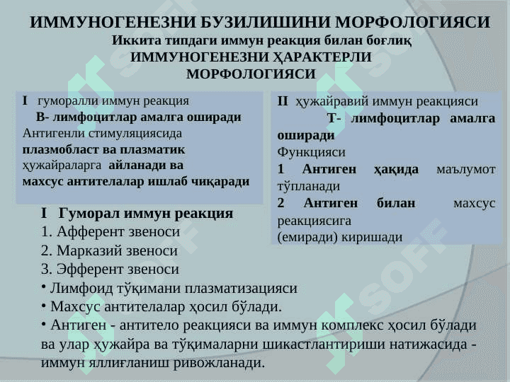 Immunopatalogik jarayonlar.immunogenez buzilish morfologiyasi 4