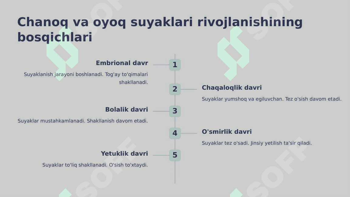 Chanoq va oyoq suyaklarining yoshga nisbatan xususiyatlari 3